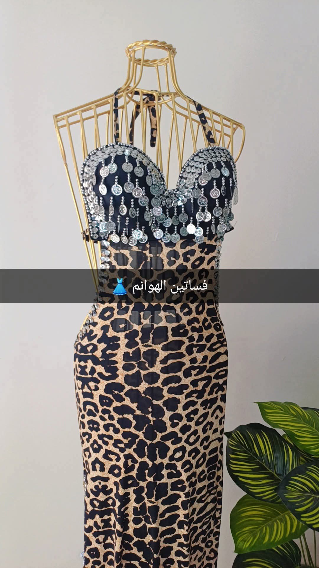 بدبة تايجر كوينز